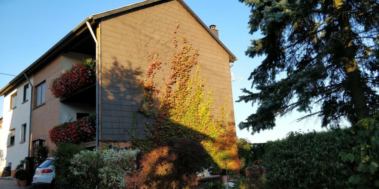 Ursula'S Ferienwohnung Marpingen Luaran gambar